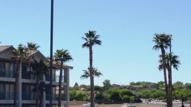 Virgin River Casino