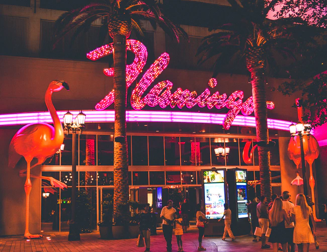 The Flamingo