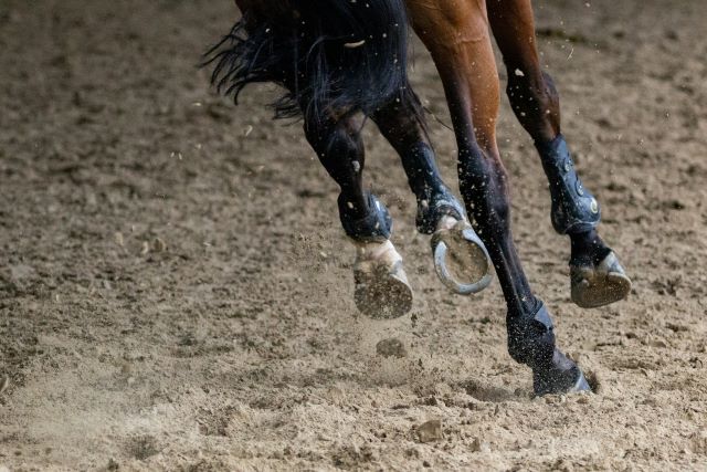 Expert Strategies and Inside Tips For Horse Racing Online Success